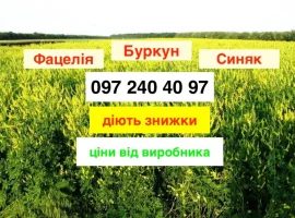 Зображення для оголошення Продам Буркун по найнижчій ціні від виробника 60 грн/кг (опт)