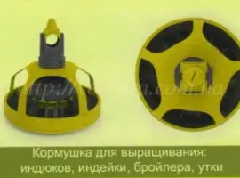 Зображення для оголошення Линия кормления Италия