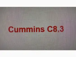 Зображення для оголошення Запчастини двигуна Cummins C8.3