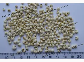 Зображення для оголошення Повітряне пшоно висаджене 1кг Puffed millet