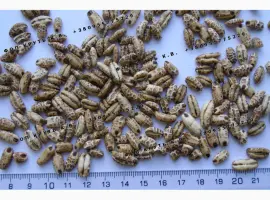 Зображення для оголошення Повітряний ячмінь висаджений 1кг Puffed barley