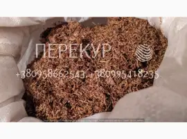Зображення для оголошення Домашний ТАБАК самосад, махорка