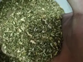 Зображення для оголошення Продам Махорку Самосад Табак