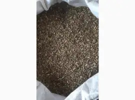 Зображення для оголошення Самосад/ Махорка - ОПТ