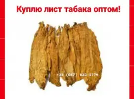 Зображення для оголошення Куплю лист тютюну   для сигарет 1 кг, только ОПТ ! По всій Україні