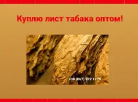 Зображення для оголошення Куплю лист табака для сигарет 1 кг, только опт! Вся Украина