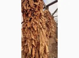Зображення для оголошення Продам лист тютюну хорошого