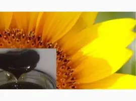 Зображення для оголошення Куплю подсолнечный баковый отстой