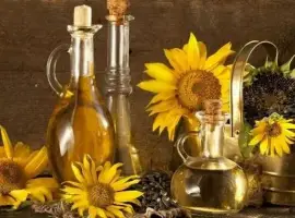 Зображення для оголошення Скупка соняшникової фузи