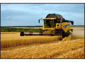 Зображення для оголошення Услуги комбайна Днепропетровск