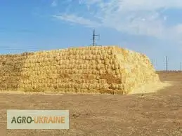 Зображення для оголошення Найму или возьму в аренду пресс-подборщик тюковый Херсонская обл