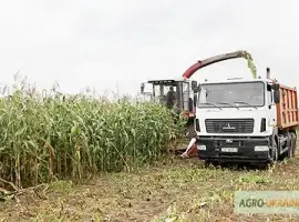 Зображення для оголошення Уборка сенажа сена соломы уборка кукурузы на силос по Украине