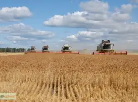 Зображення для оголошення Оказываем услуги уборки урожая по всей Украине