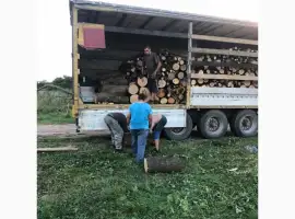 Зображення для оголошення Дрова Бышев