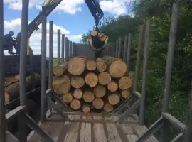 Зображення для оголошення Дрова Яготин