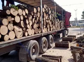 Зображення для оголошення Продам дрова дубовые