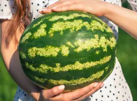 Зображення для оголошення Продам КАВУН оптом з поля