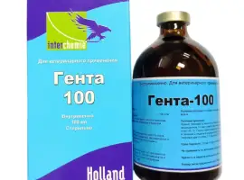 Зображення для оголошення Гента-100, 100 мл
