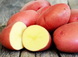 Зображення для оголошення Насіння картоплі Краса (насіння)