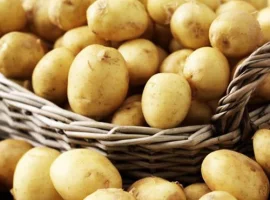 Зображення для оголошення Насіння картопля Фермер