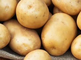 Зображення для оголошення Насіння картоплі Реванш (насіння)
