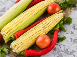 Зображення для оголошення Кукурудза Мініпоп (насіння) Кукурудза Мініпоп