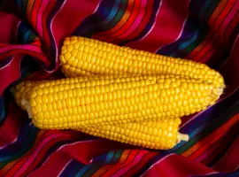 Зображення для оголошення Кукурудза Світ Парадайз (насіння)