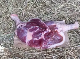 Зображення для оголошення Гусяча ніжка