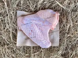 Зображення для оголошення Крило індички