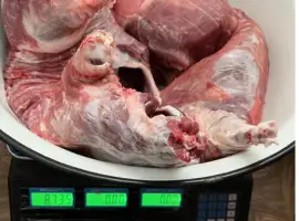 Зображення для оголошення М‘ясо нутрії, м‘ясо нутрии, нутрія, нутрятина