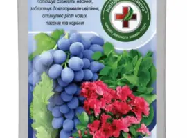 Зображення для оголошення Біостимулятор Бурштинова кислота
