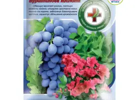 Зображення для оголошення Бурштинова кислота