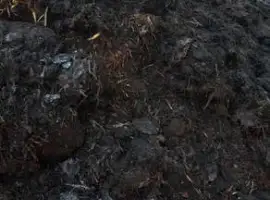 Зображення для оголошення Перегной коровий. Навоз. Компост.