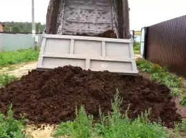 Зображення для оголошення Перегной коровий