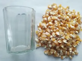 Зображення для оголошення Продається насіння кукурудзи сортів Вишнева 3 та Жовта. У наявності столова та кормова кукурудза, придатна для використання залежно від потреб господарства.  Насіннєвий матеріал може застосовуватися для посіву з подальшим використанням урожаю у харчових а