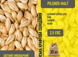 Зображення для оголошення Солод світлий пивоварний ячмінний