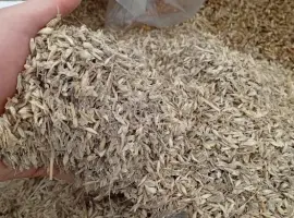 Зображення для оголошення Продам відходи кукурудзи, пшеничні.