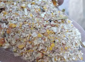 Зображення для оголошення Реалізую відходи, побічний продукт кукурудзи