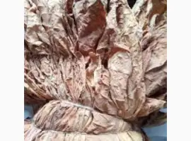 Зображення для оголошення Продам листя тютюну, Тернопільська обл.