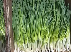 Зображення для оголошення Продам зелену цибулю