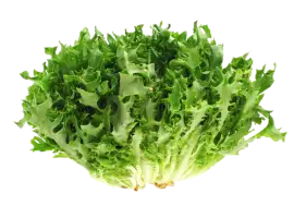 Зображення для оголошення Салат Фризе (1 кг)
