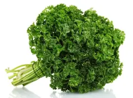 Зображення для оголошення Петрушка кучерявая (100 г)