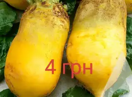 Зображення для оголошення Продам кормовий буряк ,моркву,картоплю та часник