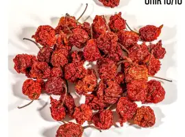 Зображення для оголошення Сушений гострий перець Dragon Breath 10 грам