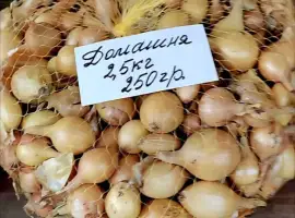 Зображення для оголошення Озима цибуля Домашня на посадку – 2,5 кг