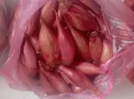 Зображення для оголошення Цибуля кущівка корчуха велика, шалот