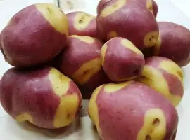 Зображення для оголошення Насіннєва середньорання картопля на посадку