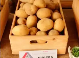 Зображення для оголошення Насіннєва картопля Рив'єра (ультрарання)