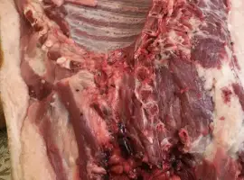 Зображення для оголошення М'ясо, сало, домашня свинина, тушками