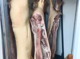 Зображення для оголошення Свинина, тушка свині , м'ясо